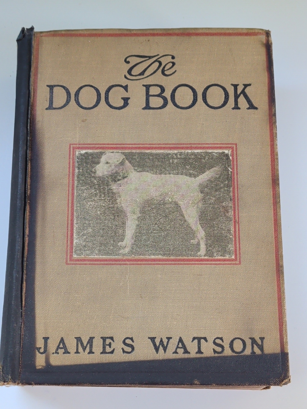 Antique The Dog Book